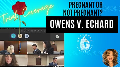 Pregnant or Not Pregnant? Bachelor Clayton Echard v. Laura Owens November 3rd Hearing