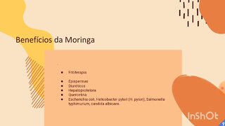 [pt. 5] A moringa contém todos os aminoácidos essenciais que o corpo necessita