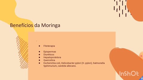 [pt. 5] A moringa contém todos os aminoácidos essenciais que o corpo necessita