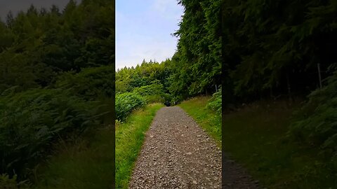 Left behind on The West Highland Way Scotland #westhighlandway