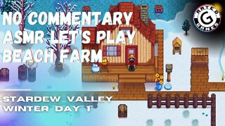 Stardew Valley No Commentary - Family Friendly Lets Play on Nintendo Switch - Winter Day 1