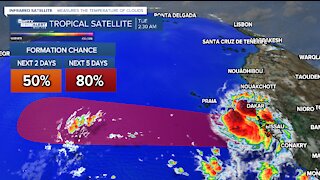 Nicholas made landfall as hurricane, two tropical waves could develop this week