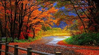 Enchanting Relaxing Bird Songs, Peaceful Soothing Winds, Autumn Fall Nature Ambience