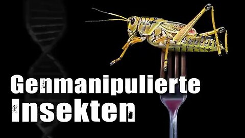 Genmanipulierte Insekten 🦟