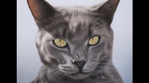 Photo Realistic Cat Portrait || Amazing Cat Portrait Drawing