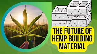 ‘This is the future:’ New natural building material made of hemp could help Illinois and the USA