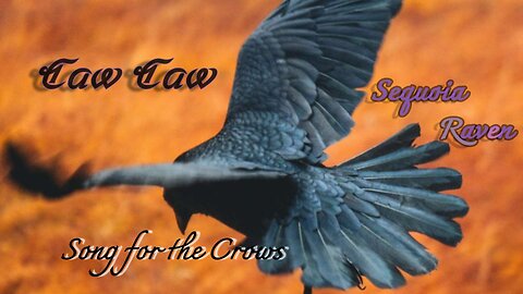 Original Song ~ Caw Caw ~ Sequoia Raven (Official Audio)