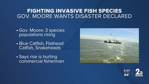 "Emerging crisis": Moore asks for federal help to fight invasive fish
