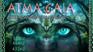 9 HOURS OF NATURE SOUNDS- DEEP HEAL ,MANIFEST YOUR HIGHER SELF & OVERCOME OBSTACLES 432-528-464HZ