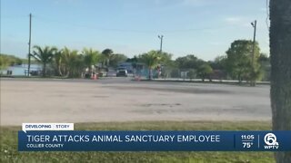 Man attacked by tiger at Florida animal sanctuary