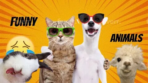 Funny Animal Videos 2023 😅 Best Funniest Dog and cat Videos Funny Animals🦆 #funnycats #funnydogs