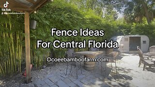 Alternative Fence Ideas For Florida Backyards - Ocoee Banboo Farm 407-777-4807