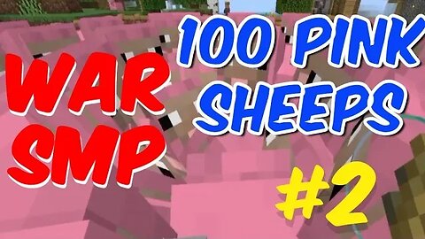 Collecting 100 Pink Sheeps in War Smp|| lifesteal smp