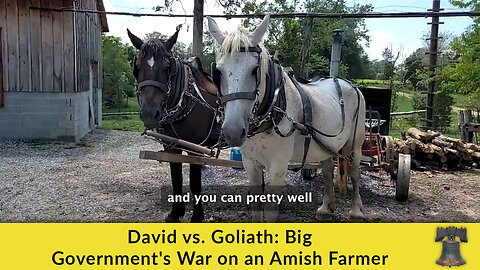 David vs. Goliath: Big Government's War on an Amish Farmer