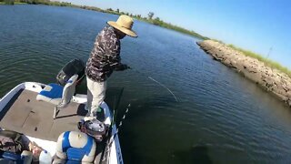 How I fish the CA Delta Pt 2 - Crankbaits
