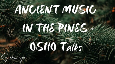 OSHO Talk on Zen Stories - Ancient Music In The Pines - The Halo of Yakushi-Buddha - 3