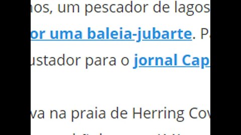 Homem é totalmente engolido por baleia-jubarte durante mergulho