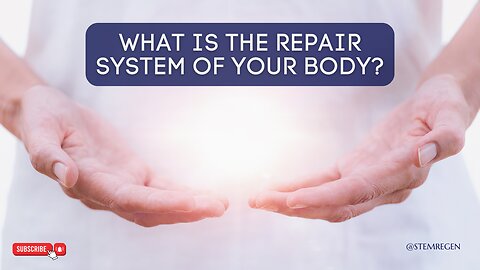 How Does the Body Repair Itself?
