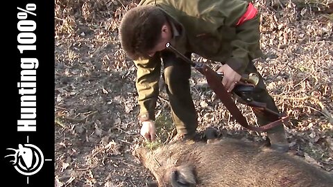 Deer and Wild Boar Hunting in France