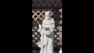 St Francis of Assisi Statue