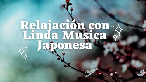 💓🔊Relajación con Linda Música Japonesa || Música para Meditar y Relajarse Plenamente || Japan Music⚪