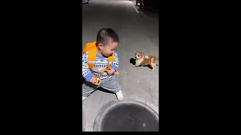 little boy and small doggi