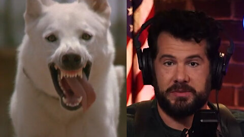 Steven Crowder is Wrong About White Dog (1982)