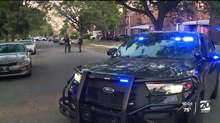 DPD officer shooting at dog accidentally hits fellow officer