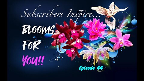 SUBSCRIBERS INSPIRE| You color my life | Blooms for YOU! Episode 44 🌸🌺🌼💐#Orchids #OrchidsinBloom