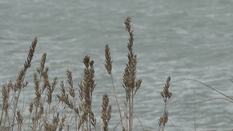 Chautauqua Lake shoreline management woes, HABs and herbicide debate