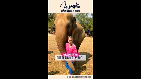 Talking to animals & 5 lessons from elephants for business success | #animallover #ugc