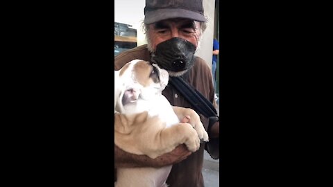 Abuelito indigente que se hizo viral tras pedir ayuda para su perrita, sufre por no tenerla más