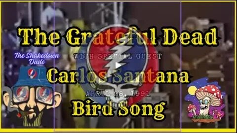 Legendary Collaboration: The Grateful Dead Live with Carlos Santana - Birdsong 4/28/91 #jerrygarcia