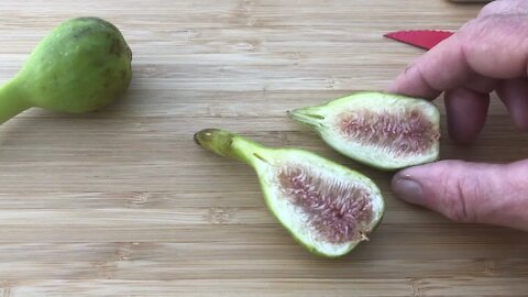 Emerald Strawberry (UCR 143-36) Breba Fig Tasting