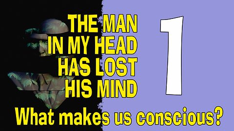 The Man in My Head Has Lost His Mind: What Makes Us Conscious? PART 1