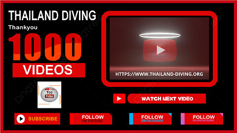 Underwater Exploration in Thailand, Celebrating Our 1000th Diving Adventure