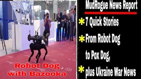 News Report & Update Ukraine: Bazooka Dog, Canadian Speaks, Nuke Plant, Black Market and more