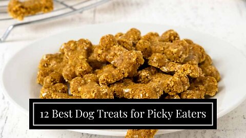 12 Best Dog Treats for Picky Eaters