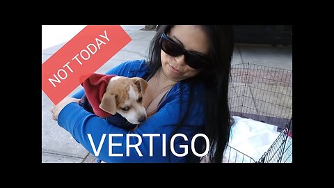 SOLO FEMALE TRAVEL | VISITING PUPPY RESCUE FOSTER AT PETSMART & WALMART GROCERY PICKUP | Van Life