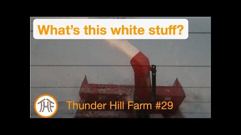 Thunder Hill Farm #29 - What's this white stuff?