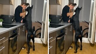 Doberman instantly comforts owner when she starts crying
