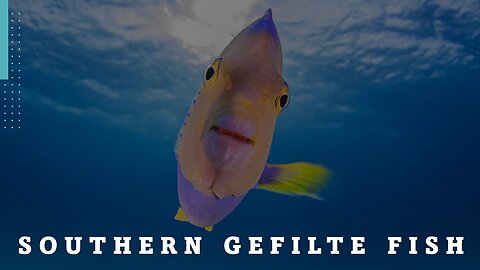 Southern Gefilte Fish Truth