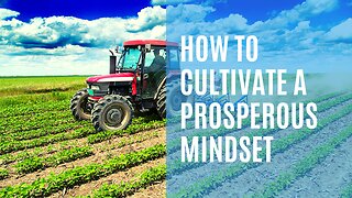 How to Cultivate a Prosperous Mindset
