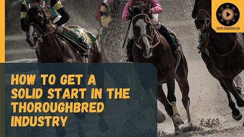 How to Get a Solid Start in the Thoroughbred Industry