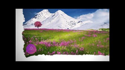 Beautiful relaxing Music | Soothing Music | Stress Relief