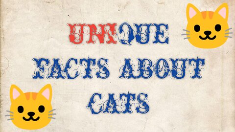 Get to Know Cats Better - Unique and Interesting Facts About Cats