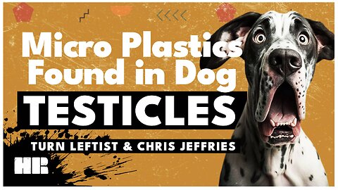 Study: Microplastics Found in the Testicles of Every Human and Dog Participant