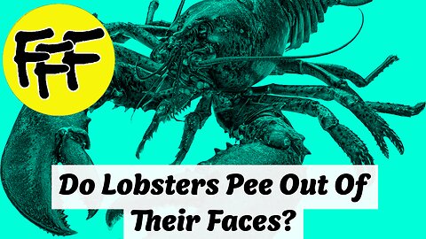 Do Lobsters Pee Out Of Their Faces? (Seriously!)