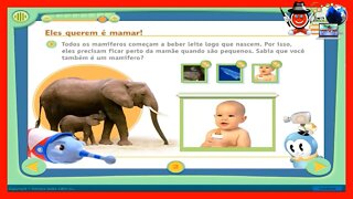 🔴#02 | Conheça os Mamíferos: “Filhotes Que Mamam”| CD ROM Mundo da Criança Vol. 1:Conheça os Bichos