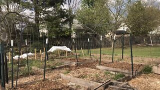 Spring ‘23 garden update